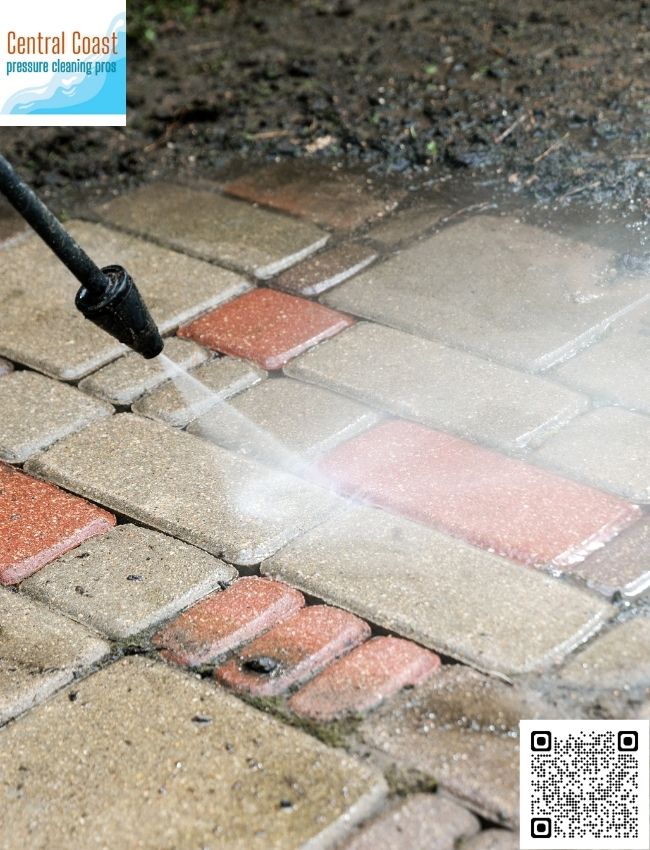 Sewage Leak Cleaning Services in Wyong